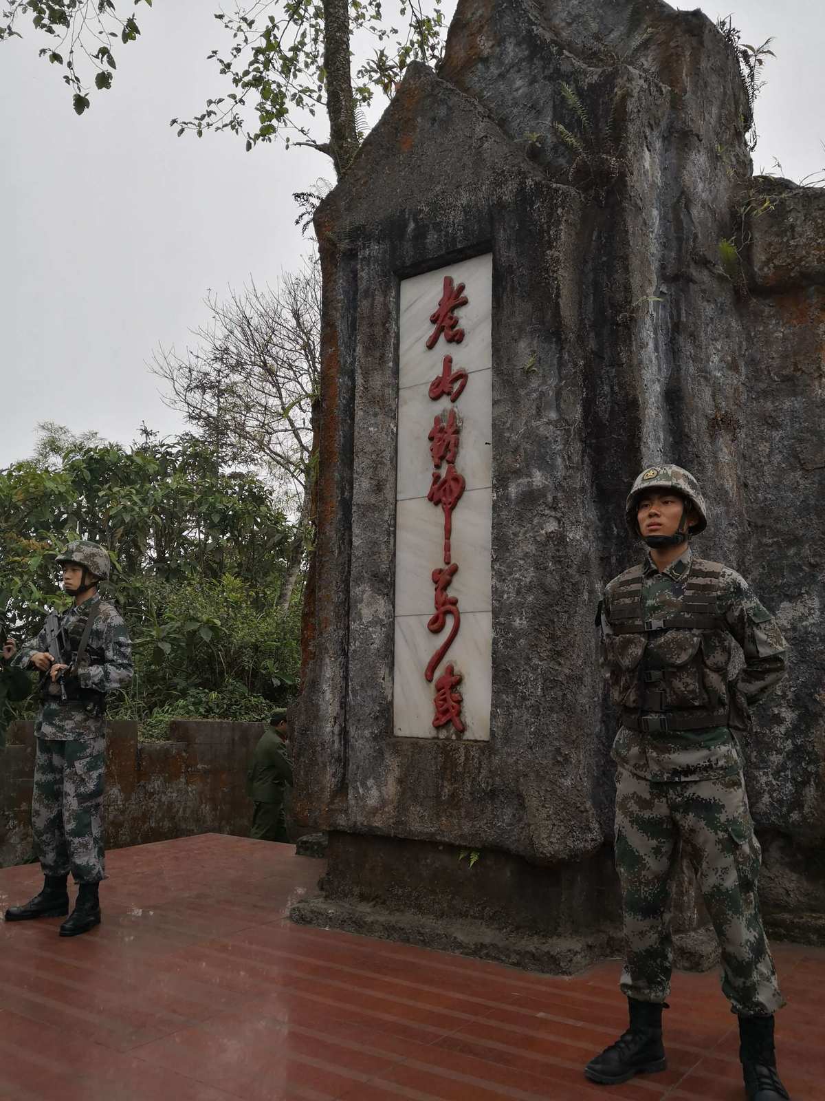 老山龙_老山龙_老山龙