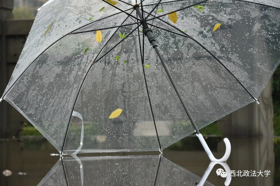 撑伞接落花_撑伞接落花是_撑伞接落花花童