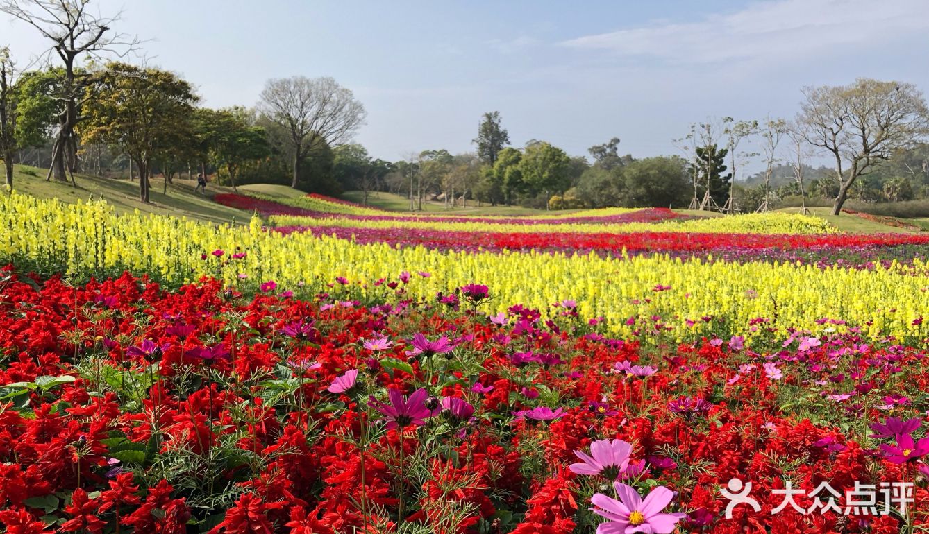 花海app_花海歌词_花海视频