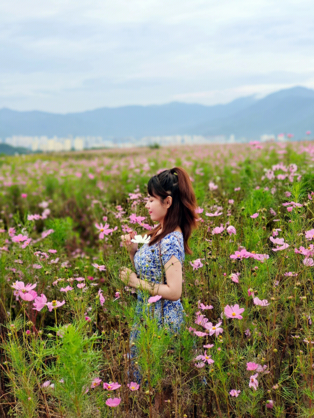 花海app_花海视频_花海歌词