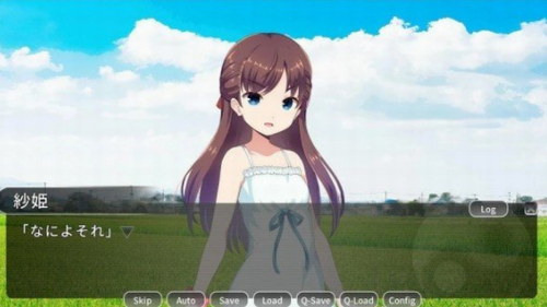 出家少女pc版_出家少女cg解锁_家出少女1.2.3安卓汉化版破解版