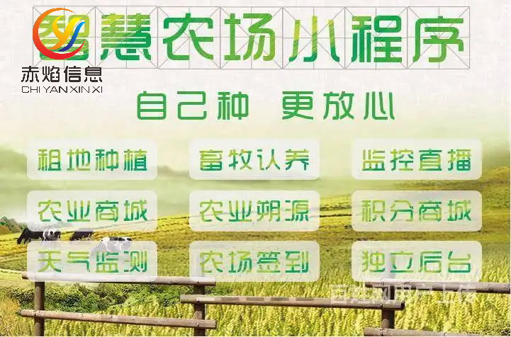 多元化经营,鸡蛋不只存在一个篮子(图1) 星露谷物语赚钱攻略_星物语谷露怎么钓鱼_露星谷物语怎么赚钱