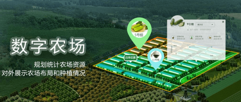 多元化经营,鸡蛋不只存在一个篮子(图2) 星物语谷露怎么钓鱼_露星谷物语怎么赚钱_星露谷物语赚钱攻略