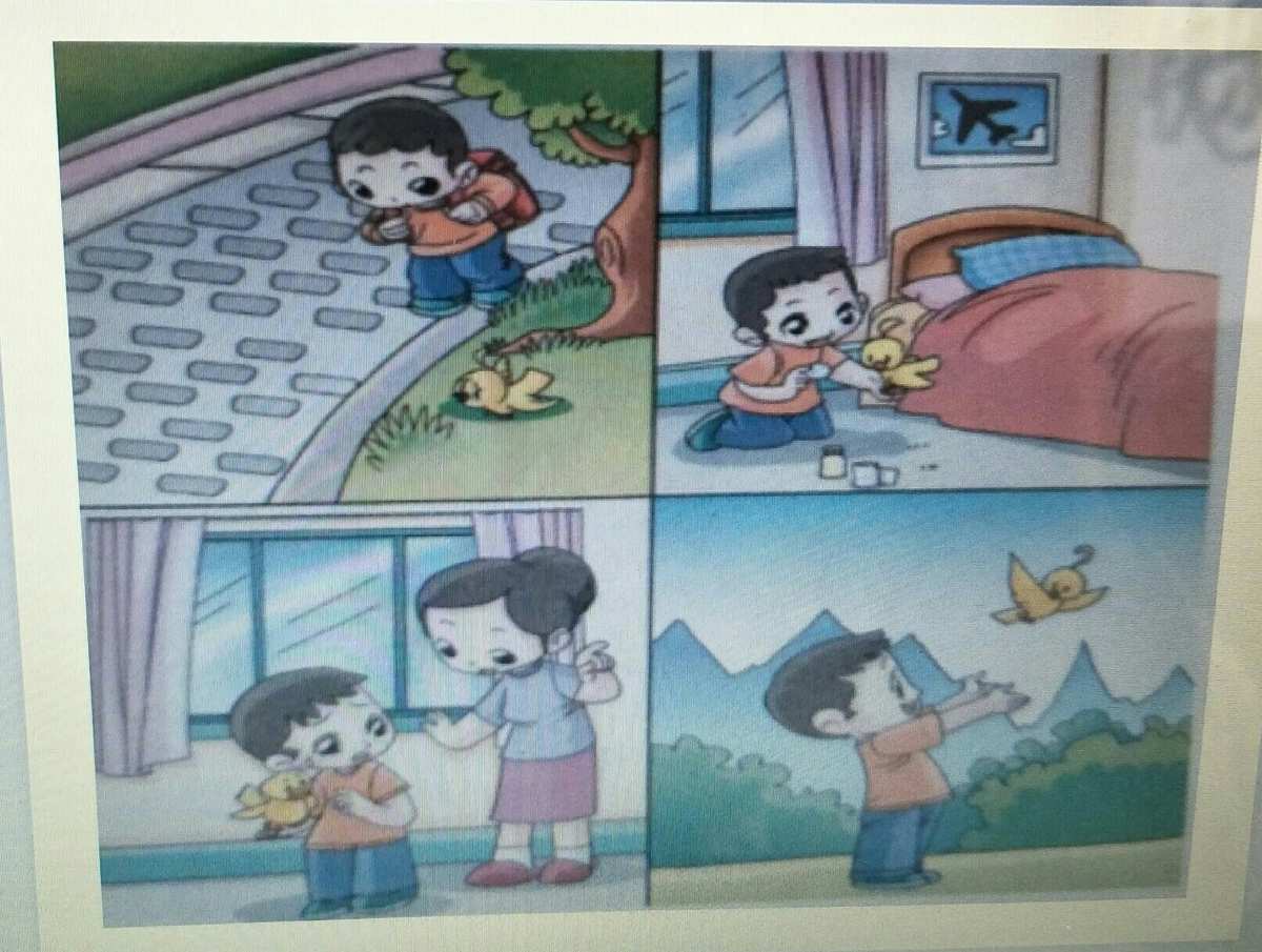 幼儿班级_班班幼儿园二_幼儿园班级