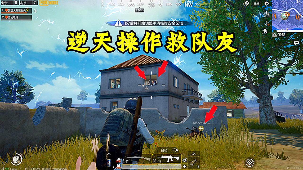 锤石图片_锤石叫什么名字_锤石
