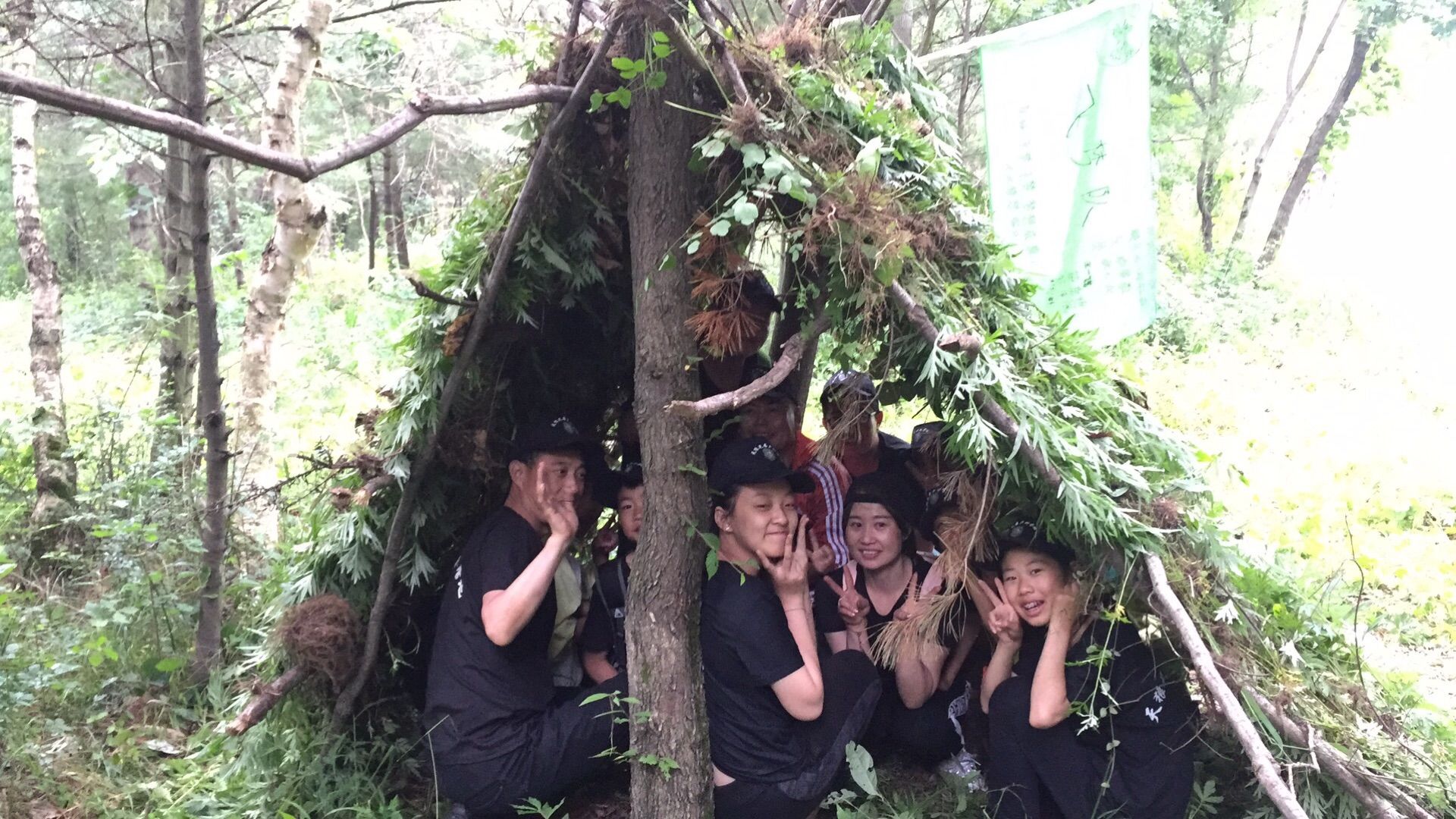 饥荒树苗代码_饥荒树苗代码_饥荒树苗代码