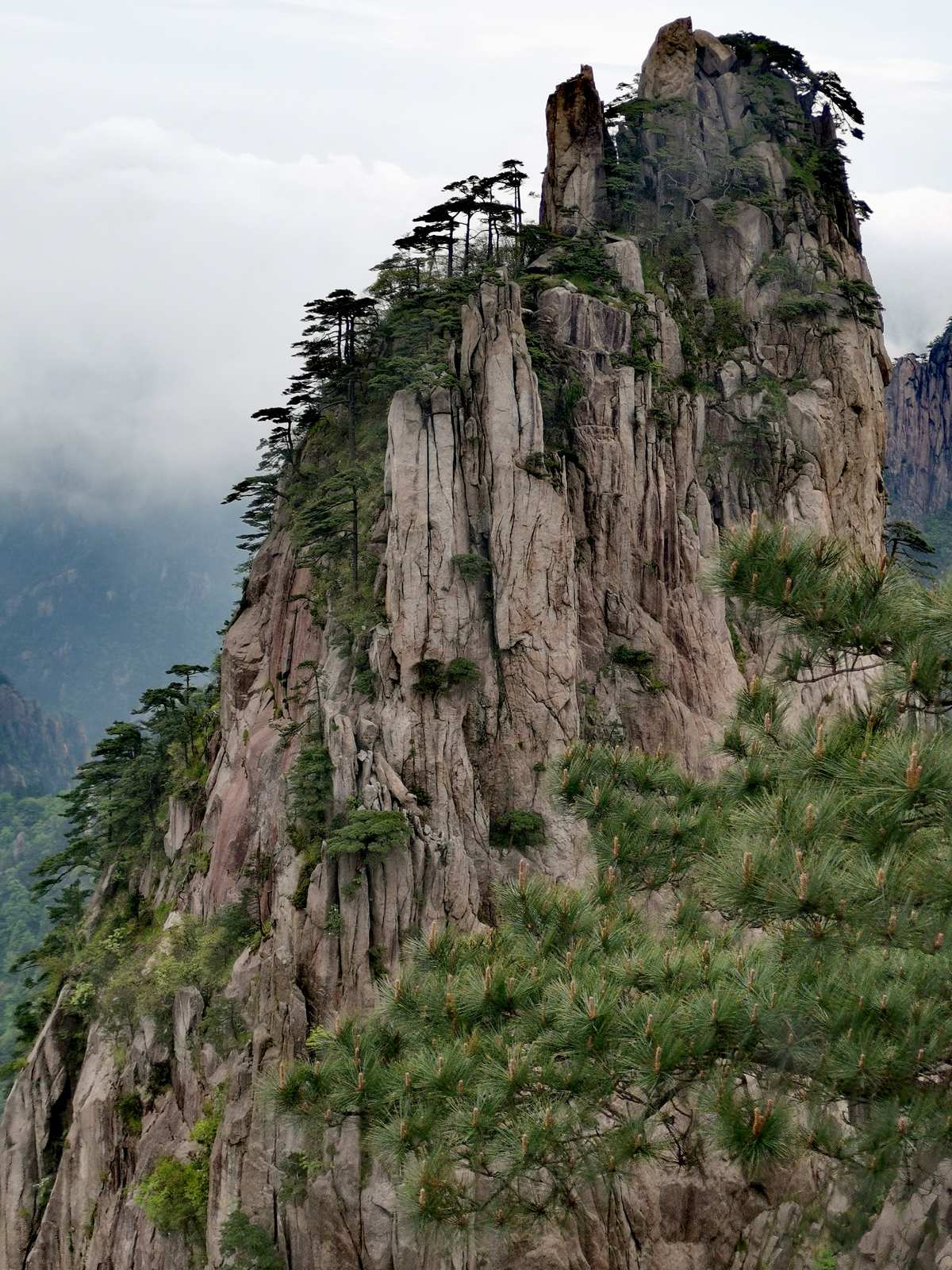 四绝_四绝是哪四绝_四绝四猛十三杰