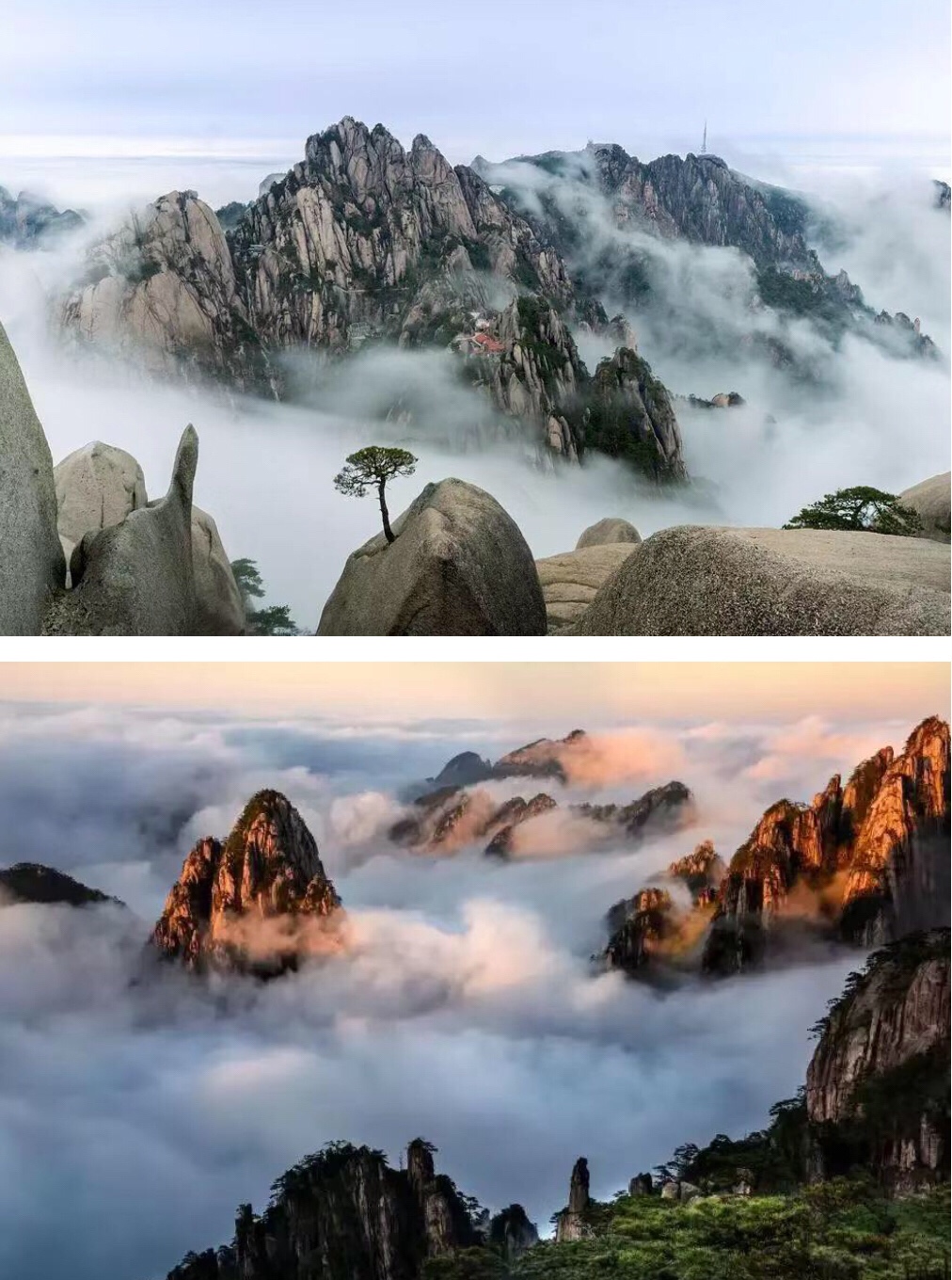 四绝四猛十三杰_四绝是哪四绝_四绝