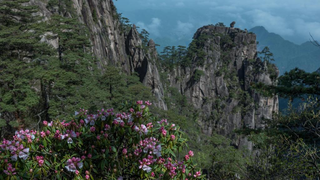 四绝四猛十三杰_四绝是哪四绝_四绝