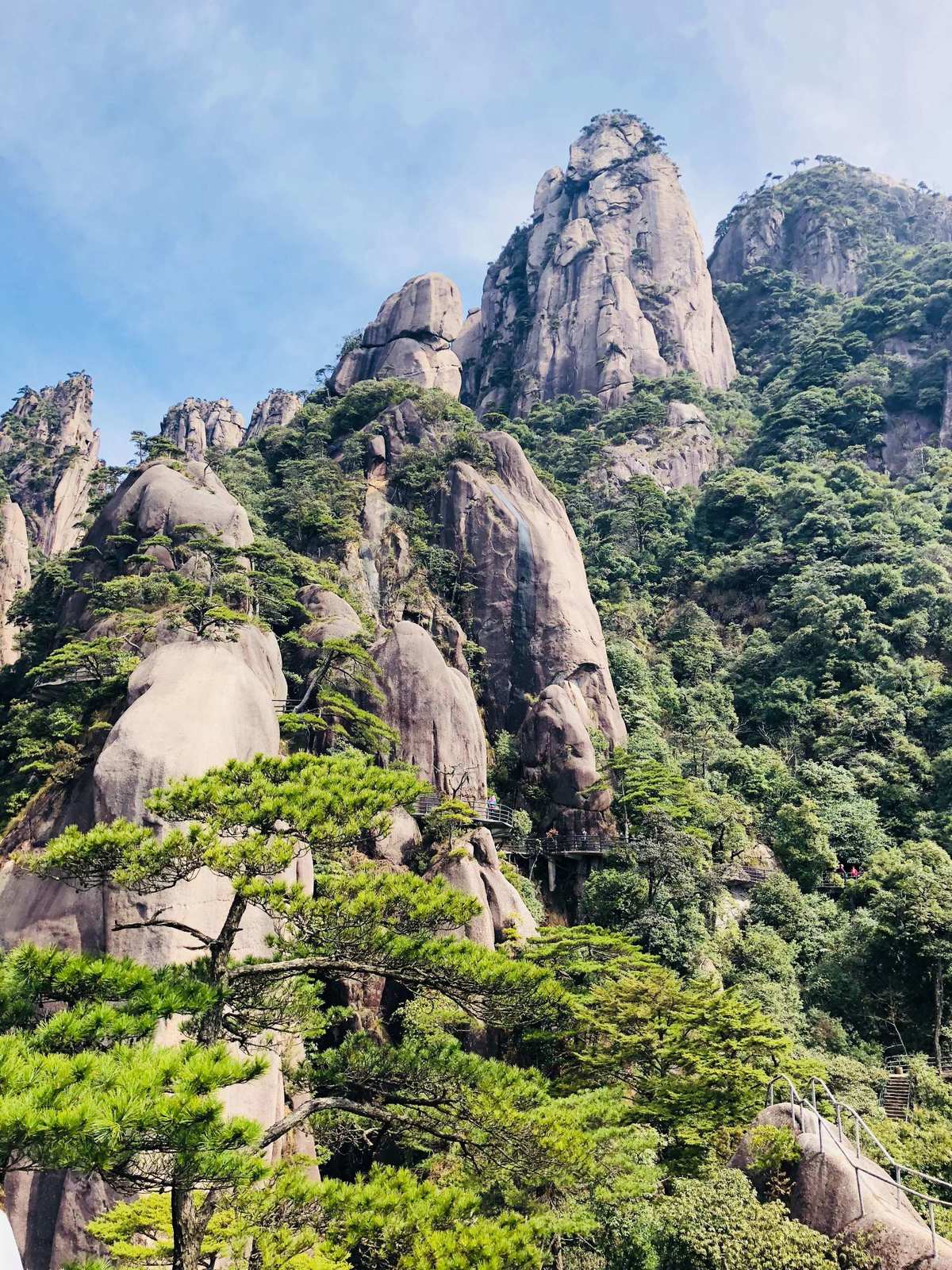 四绝_四绝四猛十三杰_四绝是哪四绝