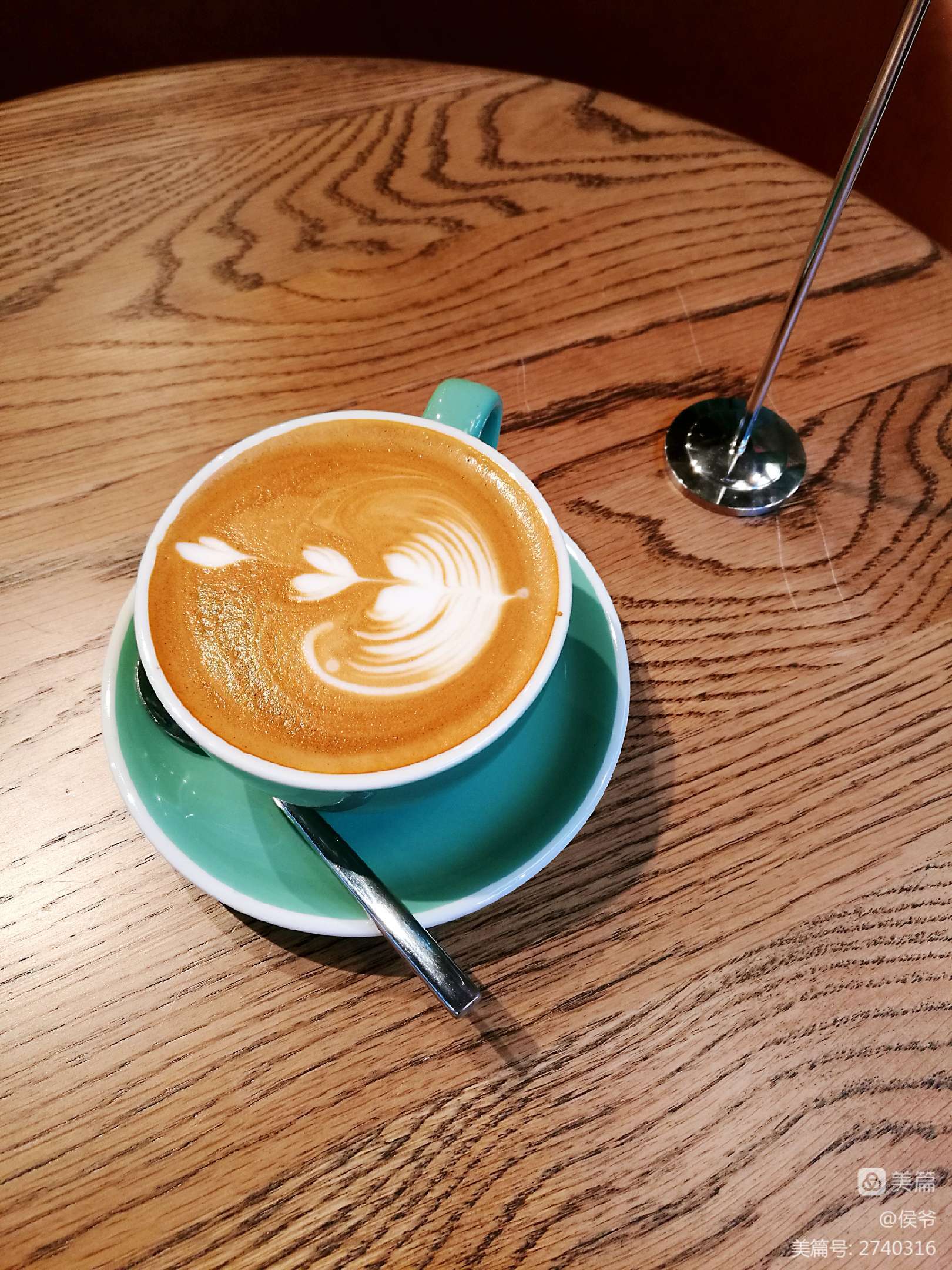 沉默生机_唯有沉默_沉默之夜