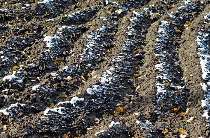 火蚣来了!炙热惊艳的神奇生物(图3) 烧火蚣_烧火蚣进化_烧火蚣进化图