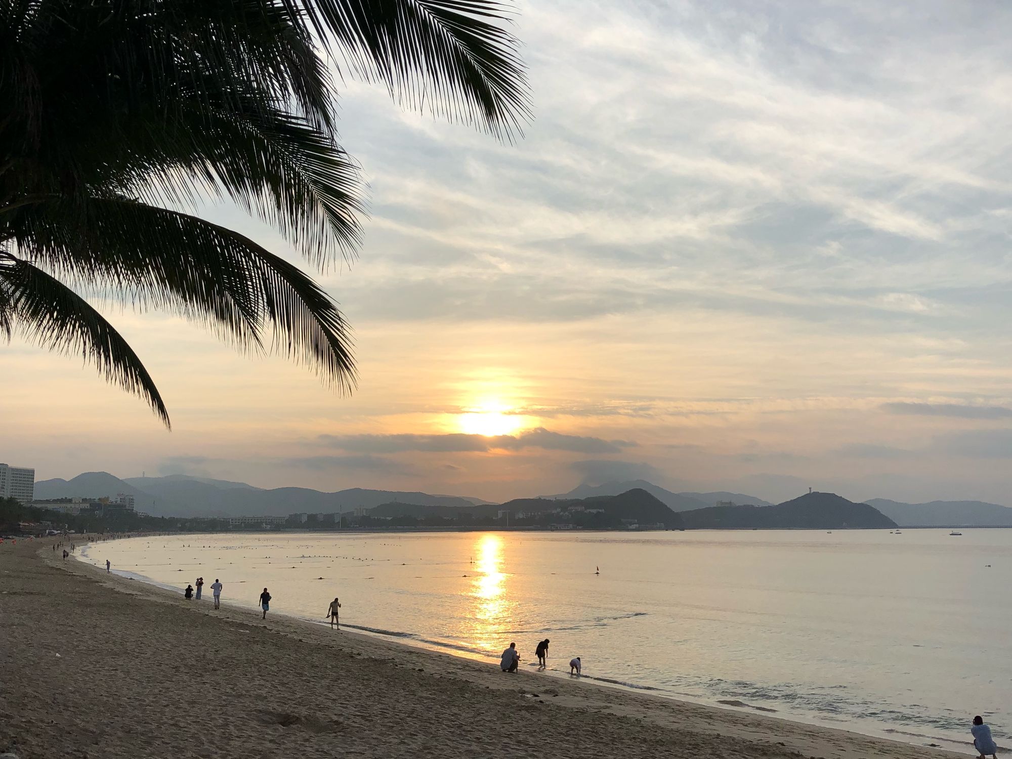 红霞岛下载_红霞岛_红霞岛多少钱