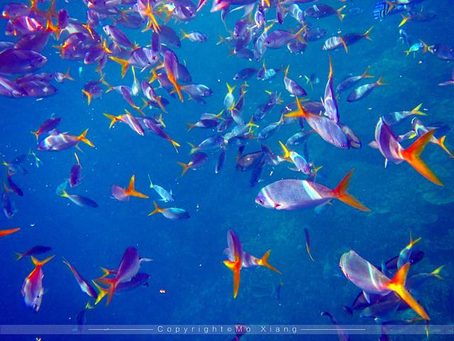 海钓天堂:寻觅鱼群,心灵获得宁静(图1) 去海钓之海礁岛海钓攻略&_海钓天国_中国海钓