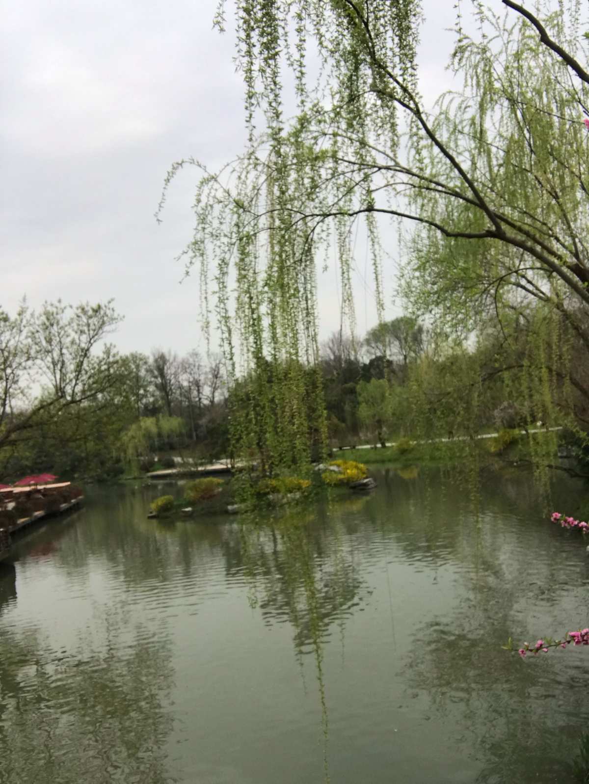 春水直播_雨蝶直播免费直播_春水直播官网