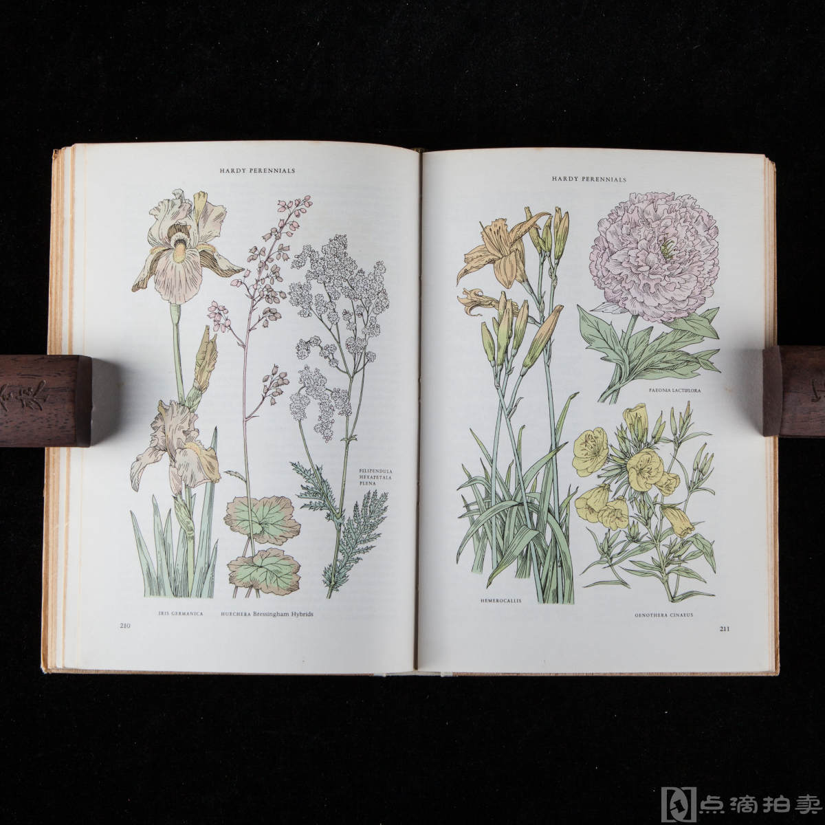 何大美_大美书_大美书网上不了