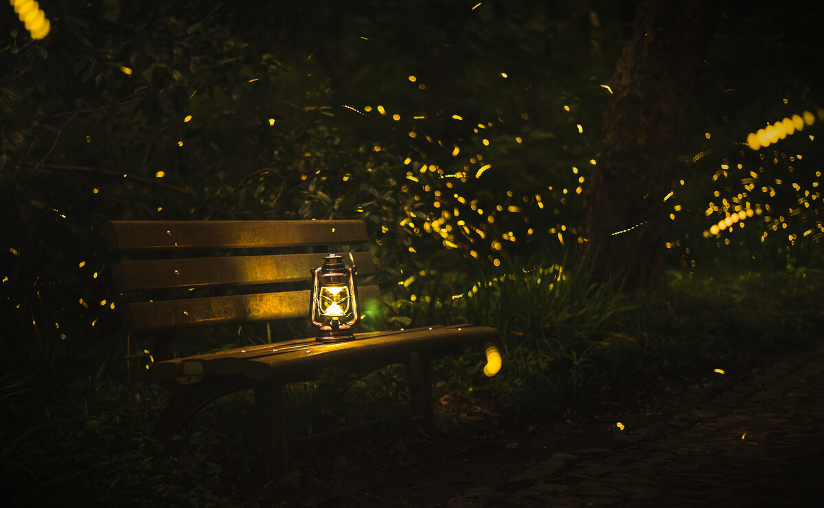 饥荒萤火虫_萤火虫饥荒有什么用_萤火虫饥荒怎么抓