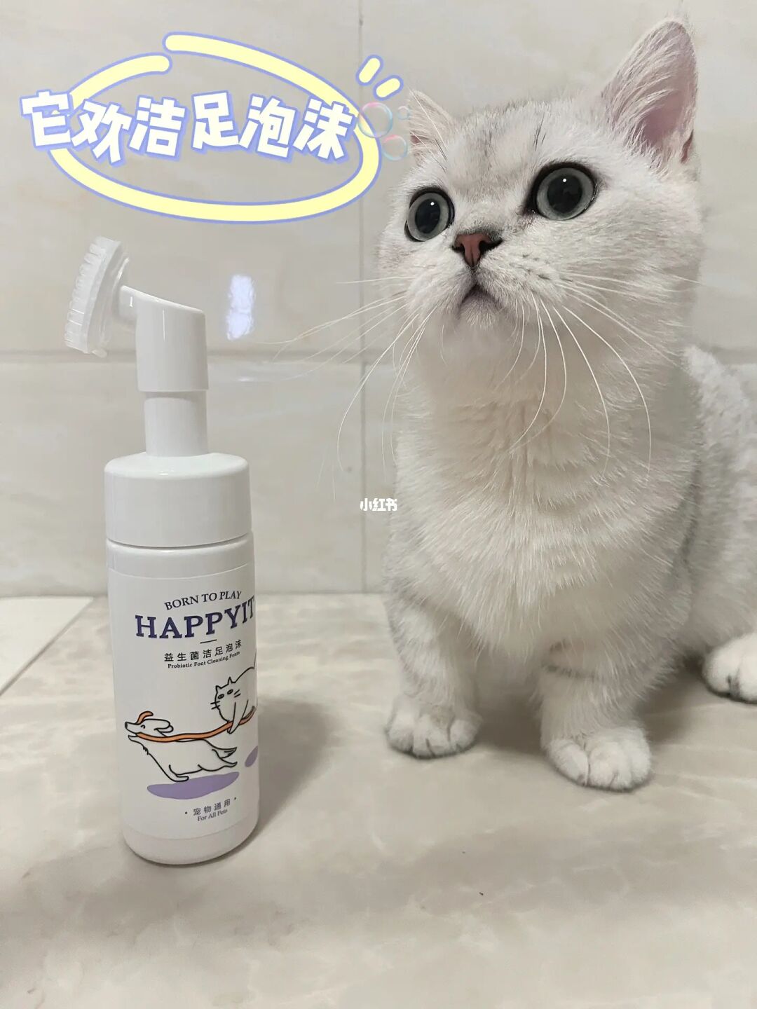 猫咪杜区app官网_猫咪杜区app官网_猫咪杜区app官网