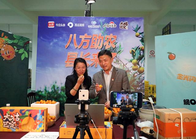 桔子直播_桔子直播间_直播桔子的经典话术