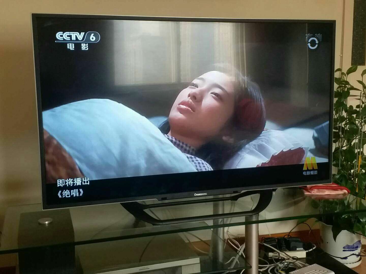 大海影视下载_晴天影视下载_影视下载
