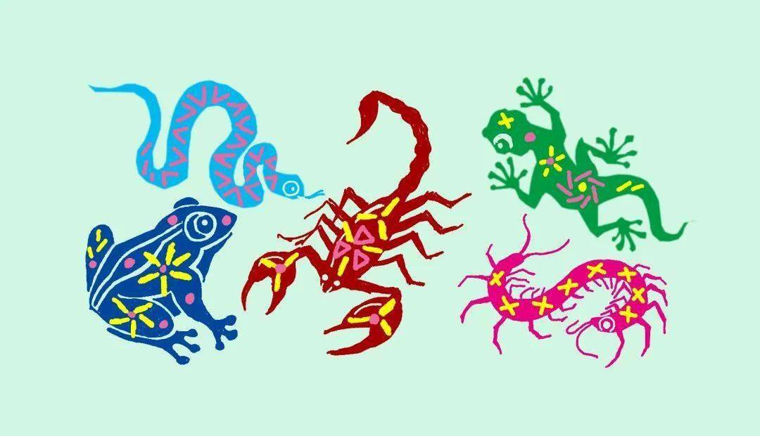 五毒兽:异想天开的奇特生物(图3) 五毒兽_五毒兽_五毒兽