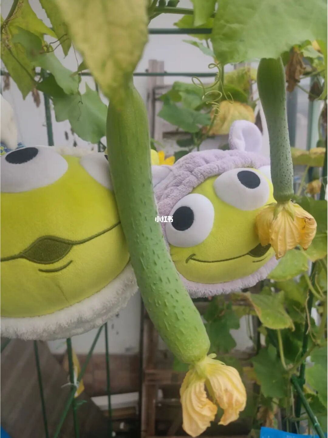 啦啦啦资源视频在线观看8_向日葵app看片版免费_丝瓜app下载