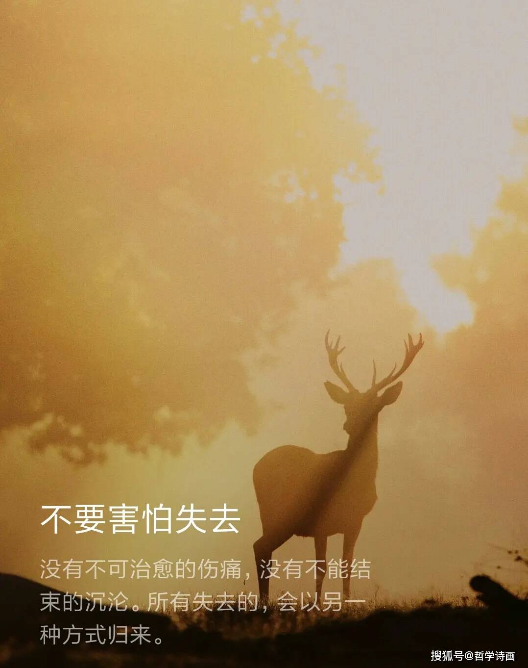 沉沦心声_沉沦之心_沉沦心间