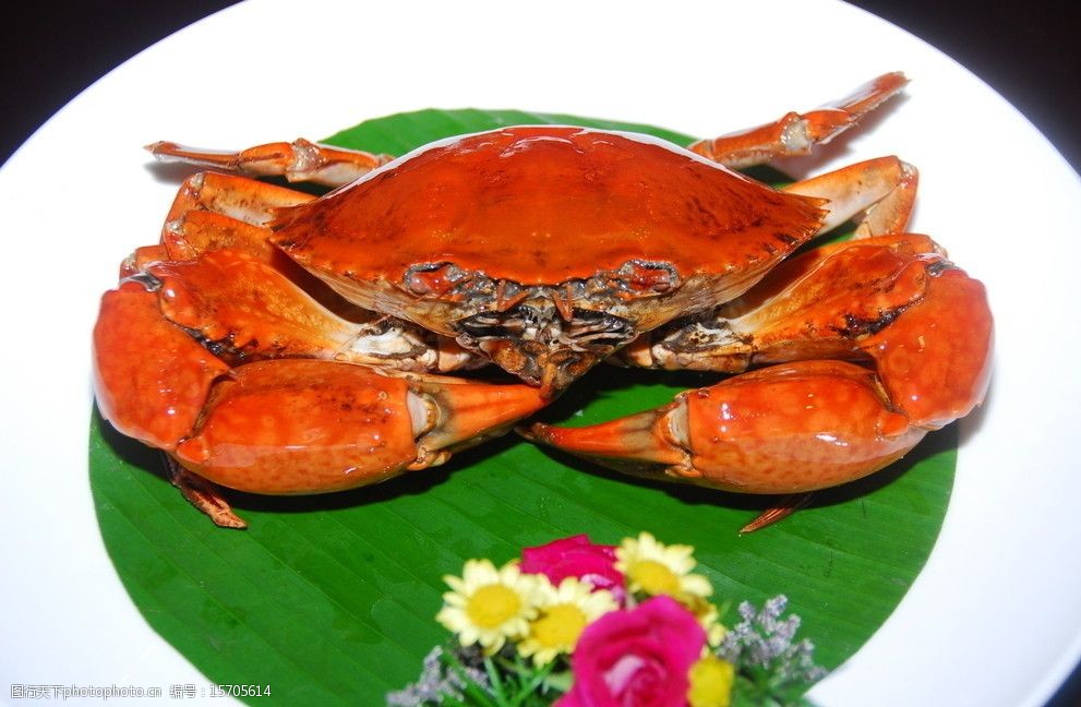 仲秋螃蟹官网_螃蟹官网游戏交易平台_螃蟹官网