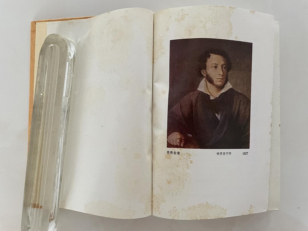 520小说情缘,文学爱好者的创作之路(图3) 小说520_小说5200星空彼岸_小说5200万道龙皇