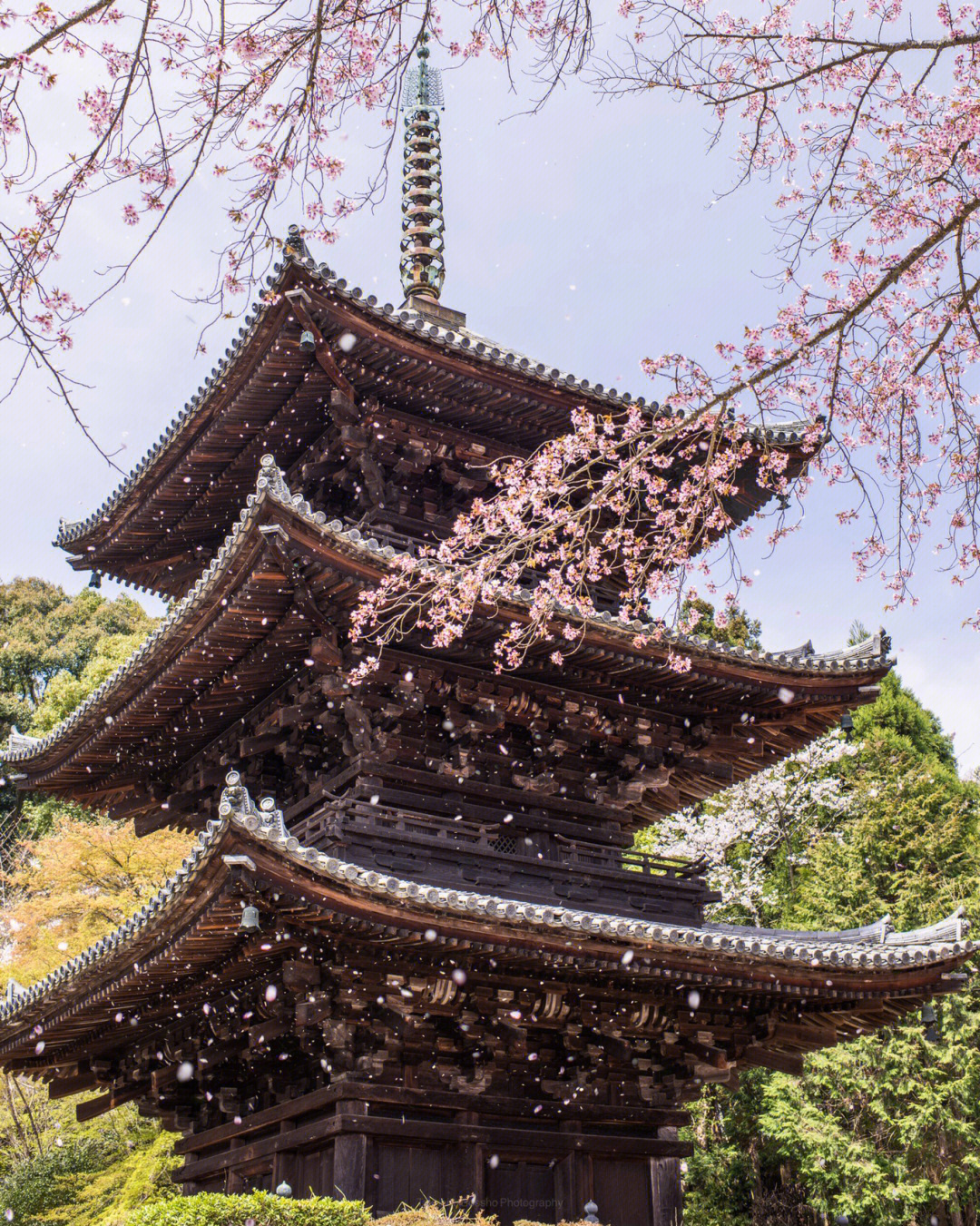 日本美景图_日本美图_日本美图景色