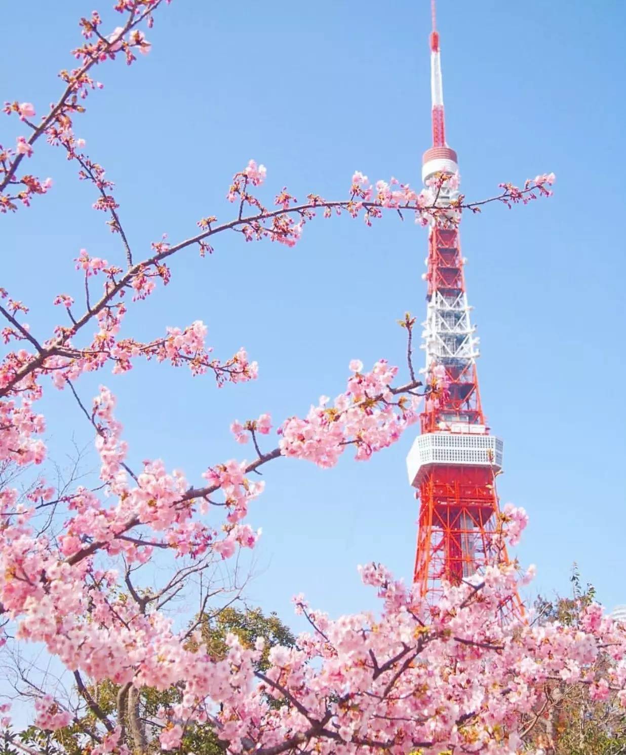 日本美景图_日本美图_日本美图景色