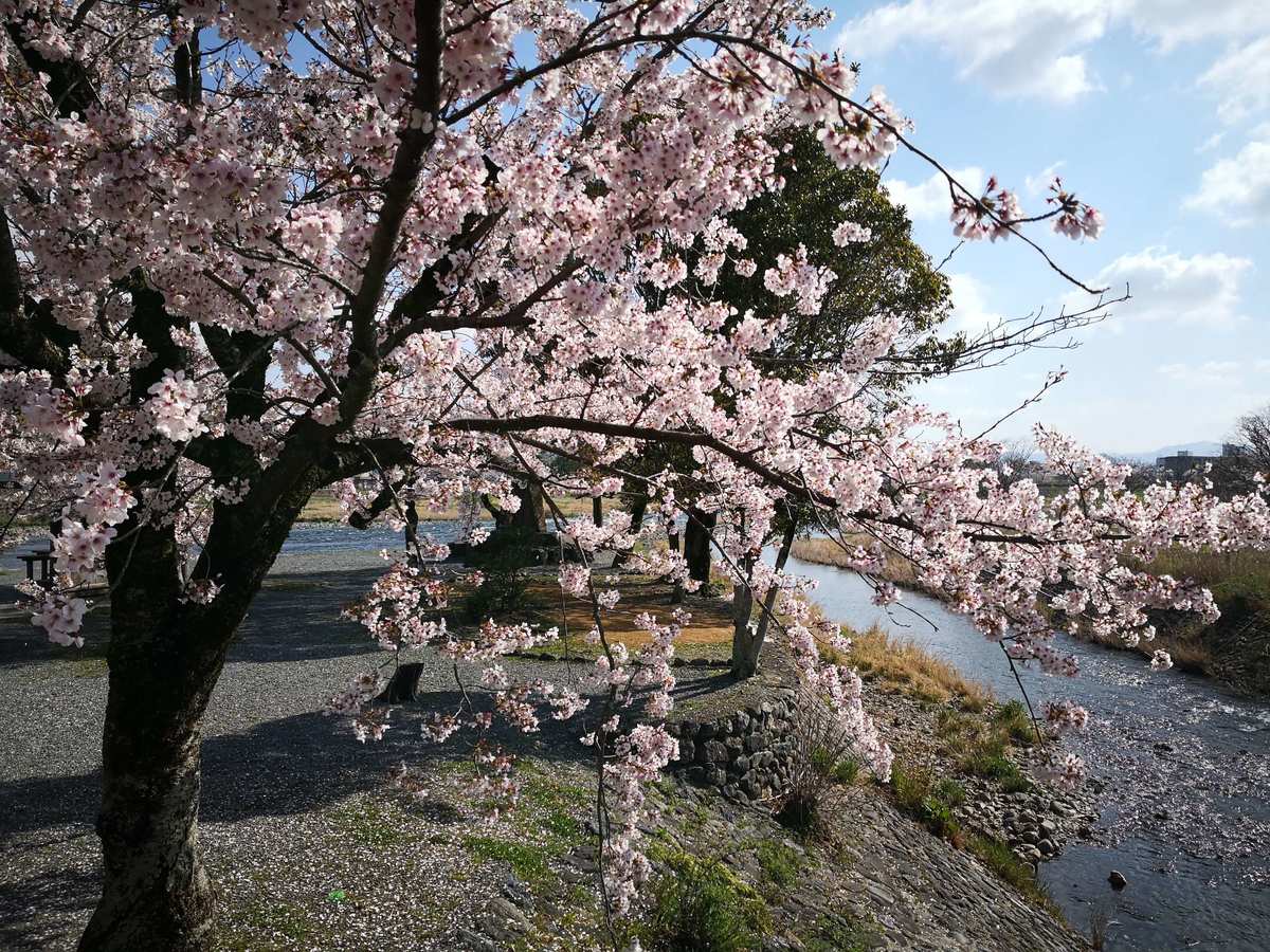 日本美图_日本美图景色_日本美景图