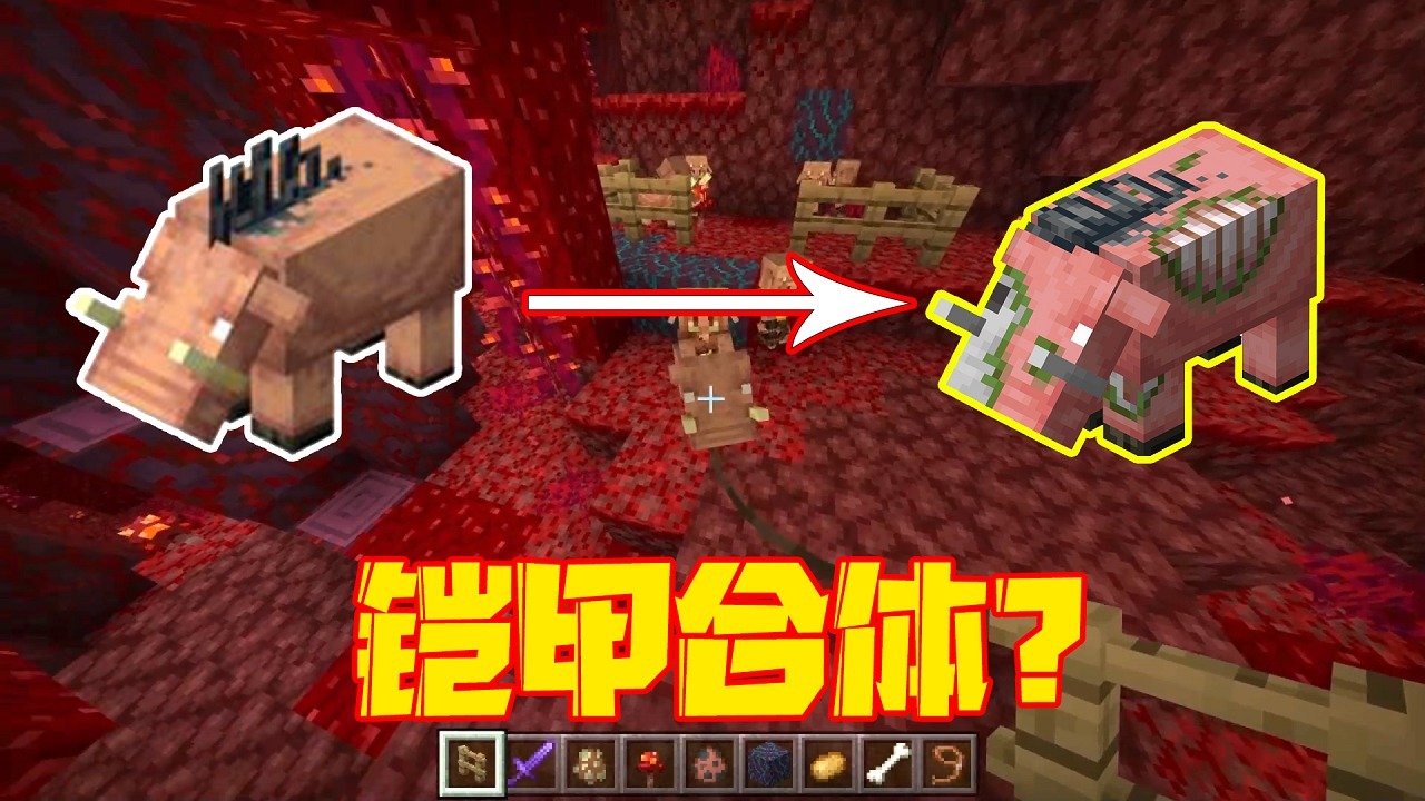 踏足下界!我的世界国际版1.16全新版本下载(图4) 我的世界1.16国际版下载_我的世界1.16国际版下载_我的世界1.16国际版下载