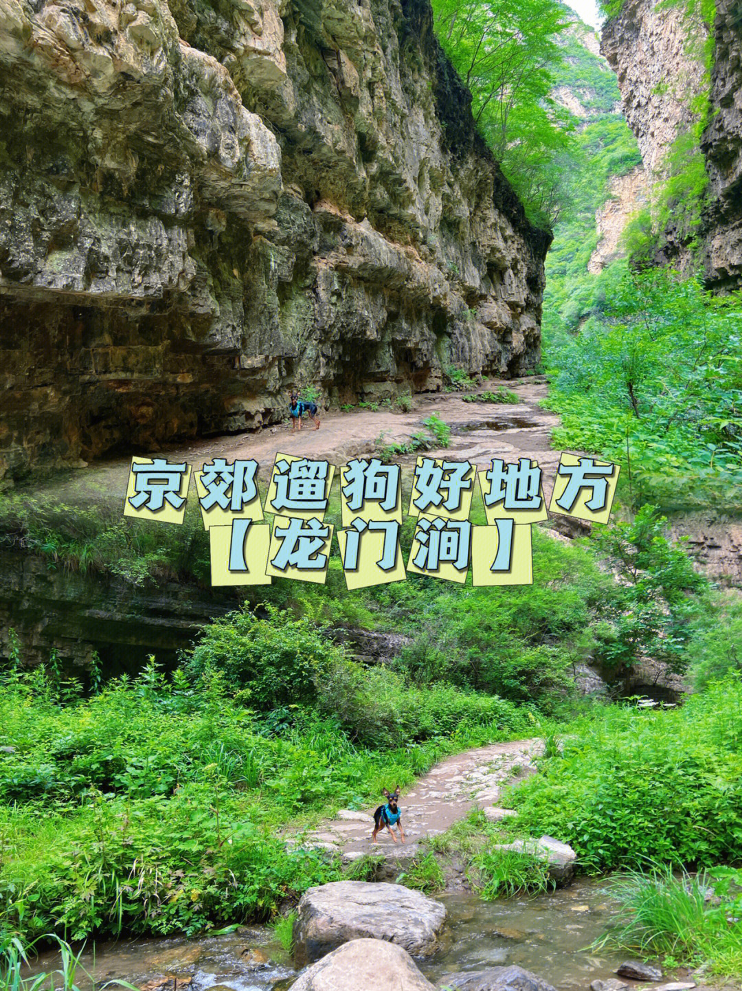 龙门天关_天龙门_龙门天成