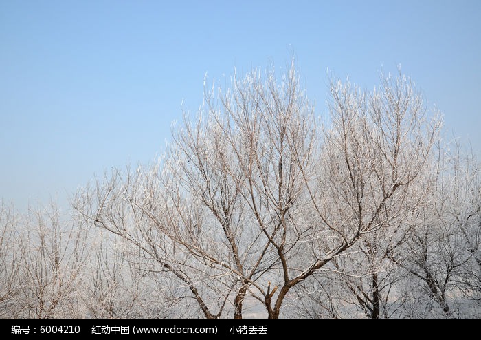 下雪的视频_视频下雪特效_视频下雪天