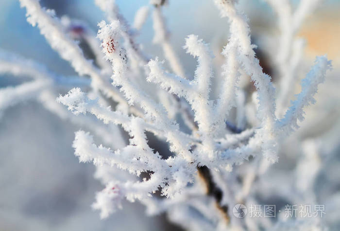 下雪的视频_视频下雪特效_视频下雪天