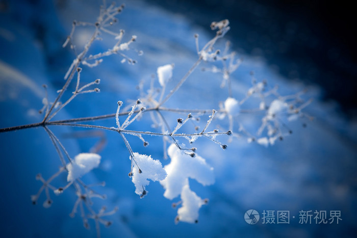 视频下雪天_视频下雪特效_下雪的视频