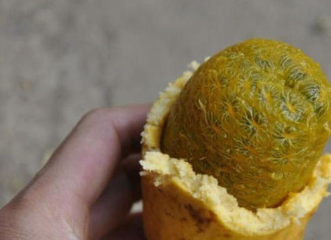 草莓视频污下载安装_草莓视频污下载安装_草莓视频污下载安装