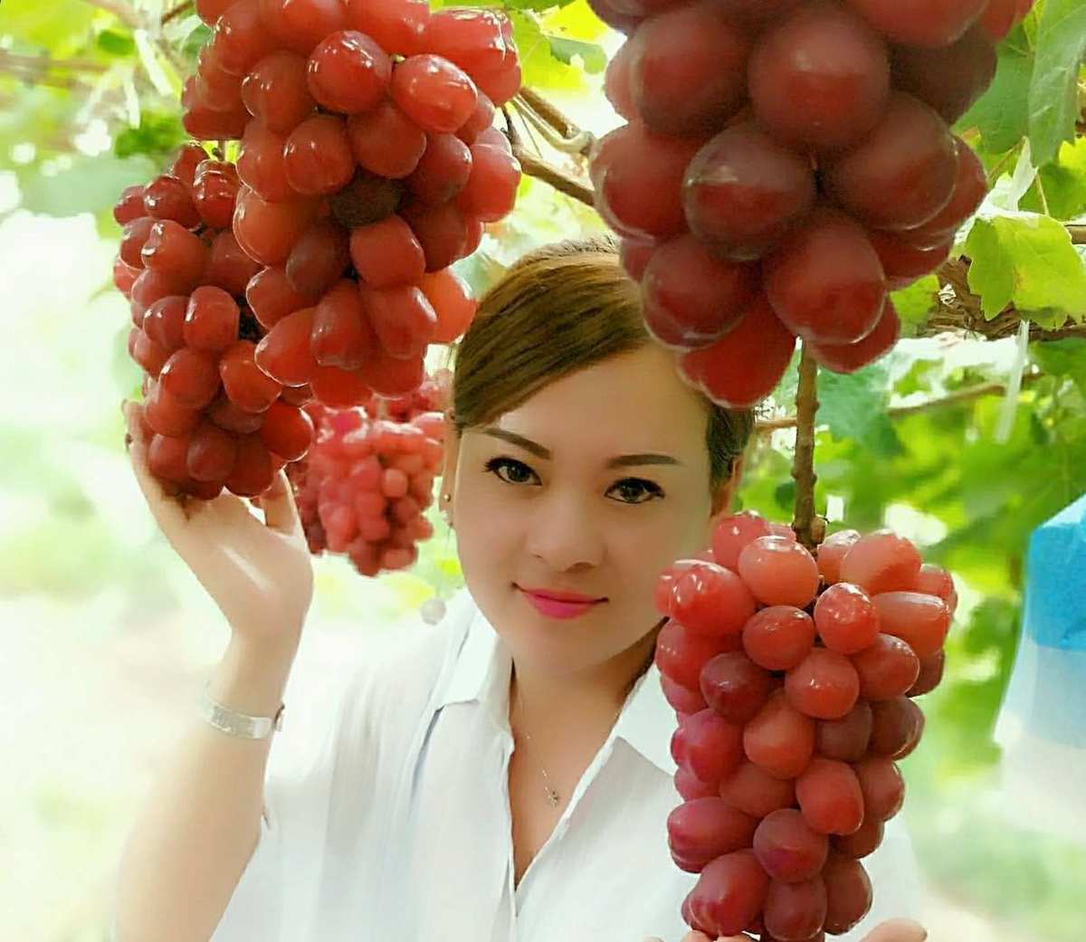 红颜app_红颜app_红颜app