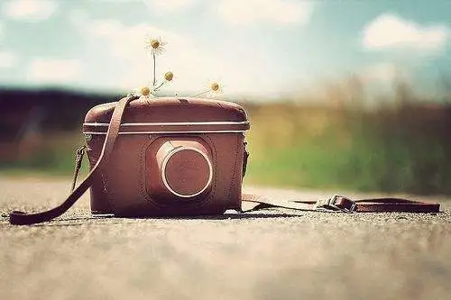 啪哩_啪哩_啪哩