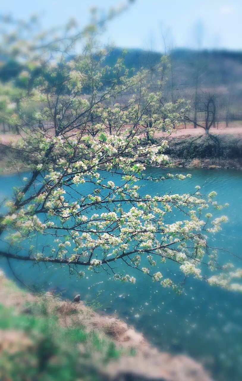 啪哩_啪哩_啪哩