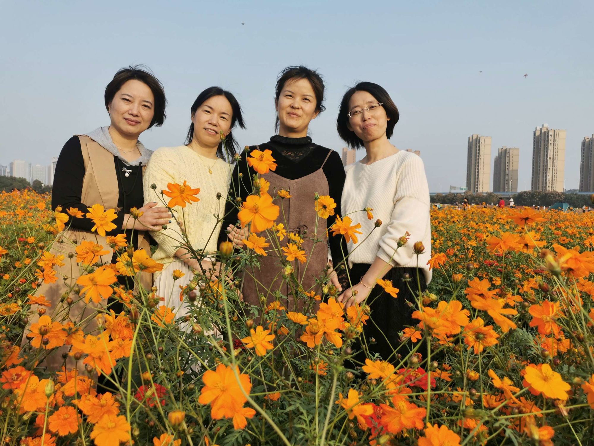 阿曼达贝尼斯_阿曼达_阿曼达诺克斯