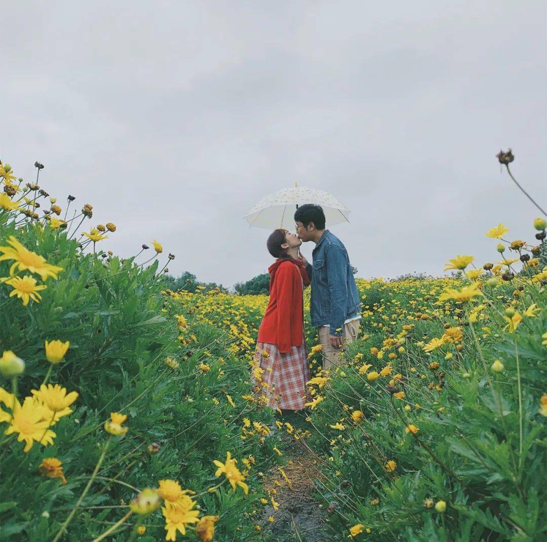 千恋万花丛雨线_千恋万花丛雨线_千恋万花丛雨线