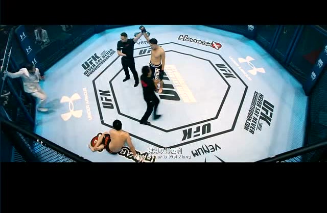 兴奋激动!选择职业拳击手,体验真实铁拳游戏(图2) 铁拳游戏机_铁拳游戏手机版_铁拳游戏