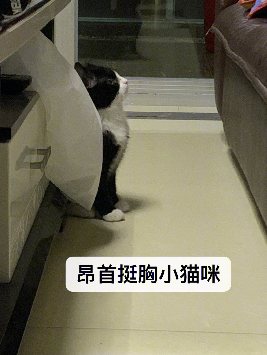 以前苹果手机怎么隐藏游戏-苹果手机隐藏游戏大揭秘,让你欲罢不能(图3) 以前苹果手机怎么隐藏游戏_苹果隐藏游戏怎么恢复_苹果隐藏的游戏