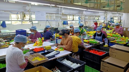 玩具工厂 手机游戏-玩转玩具工厂(图1) 玩具工厂小游戏_玩具工厂 手机游戏_玩具工厂游戏攻略