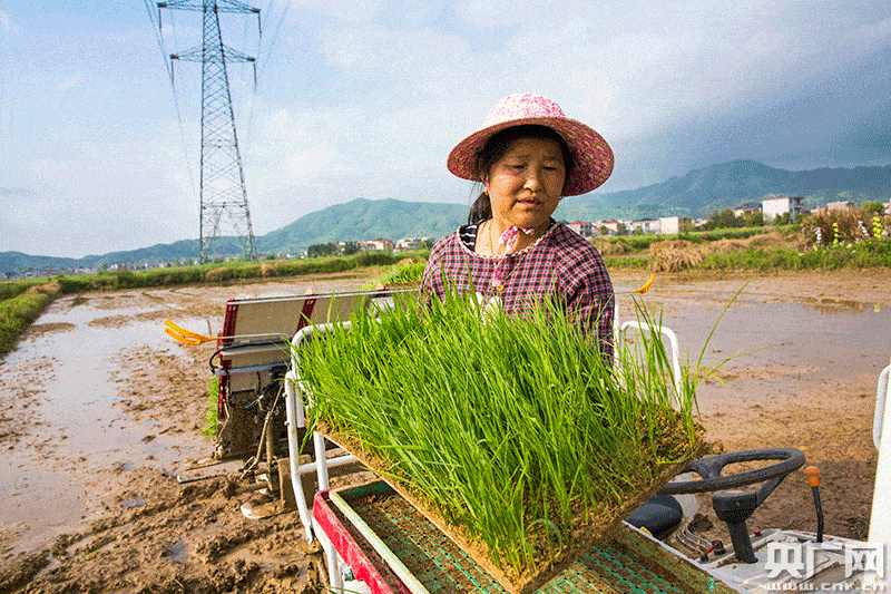 手机种地的单机游戏让我仿佛回到了小时候,那个阳光明媚的农田里(图2) 单机种地手机游戏推荐_单机种地手机游戏大全_手机种地的单机游戏