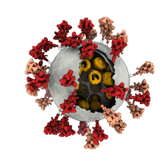 消灭病毒类似的小游戏_消灭相似病毒版手机游戏_相似消灭病毒游戏手机版