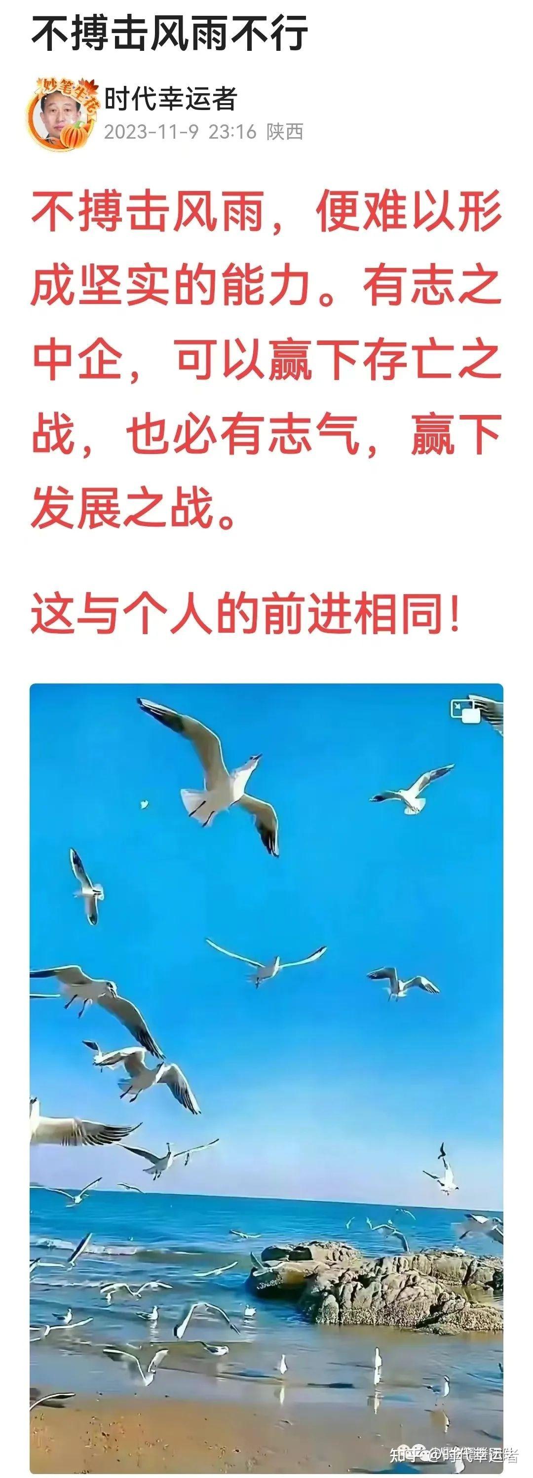 脱MM游戏手机游戏_手机游戏脱机挂_游戏脱机是什么意思