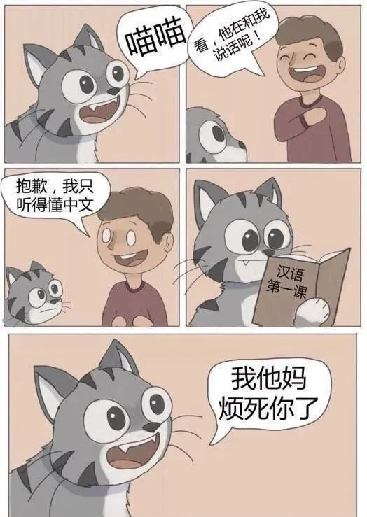 双人游戏关卡_双人闭关手机游戏_双人通关手机游戏